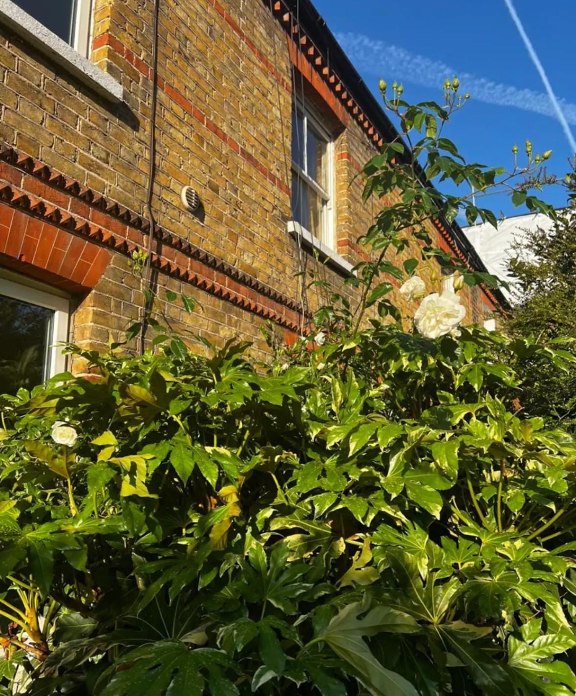 Gorgeous 1 Bedroom & Private Ensuite In With Free Parking * Windsor