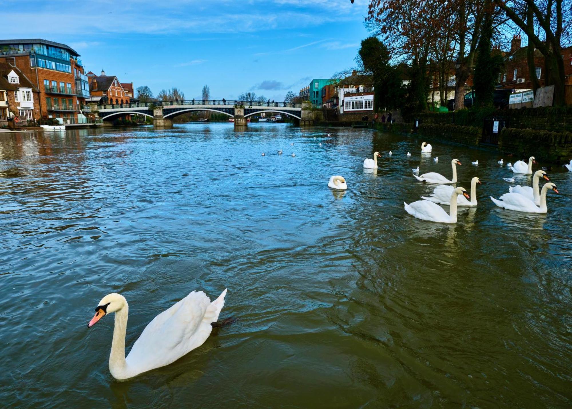 Queen Annes Court Luxury On High Street Apartamento *
