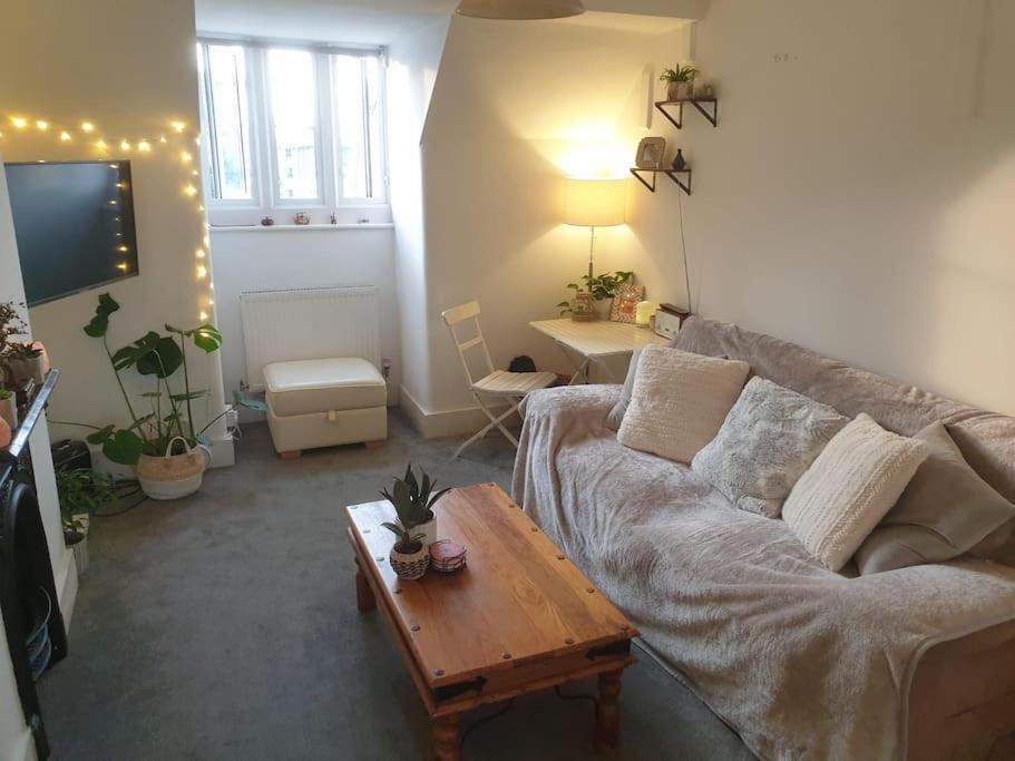 Apartment Boutique Floor