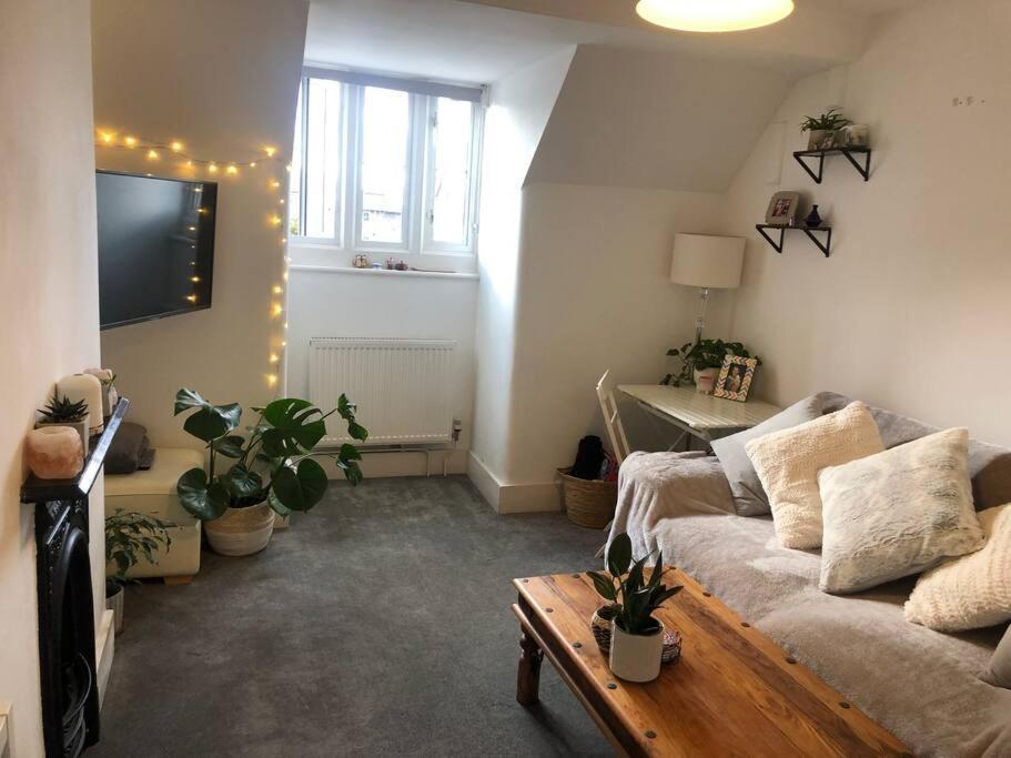 Boutique Floor