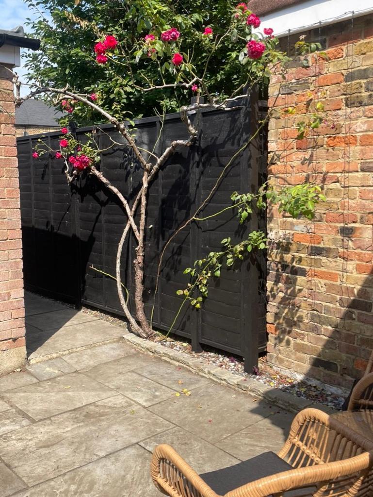 2 Bedroom House In - The Town Windsor