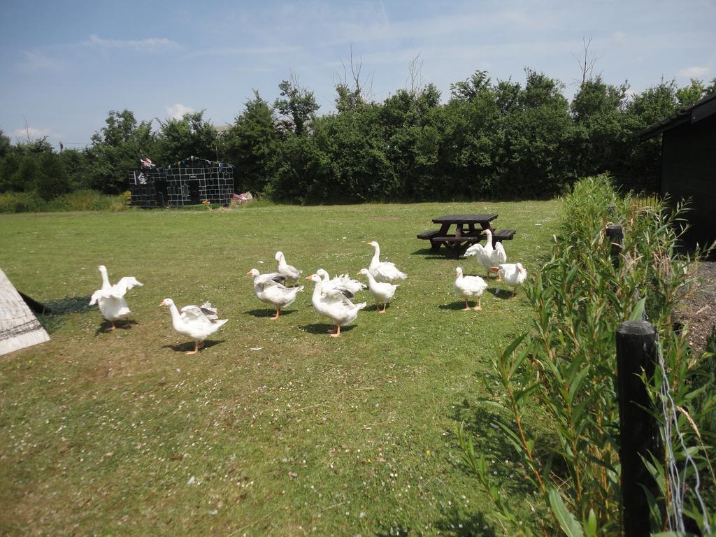 Willow Court Farm The Lodge & Petting Farm, 8 Mins From Legoland & Windsor, 15 Mins From Lapland Uk * Windsor