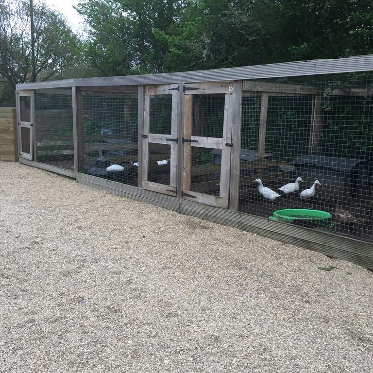 Holiday home Willow Court Farm The Lodge & Petting Farm, 8 Mins From Legoland & Windsor, 15 Mins From Lapland Uk Windsor