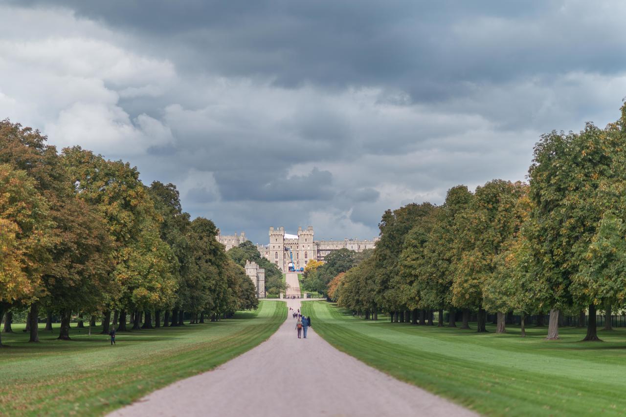 Facing The Castle *