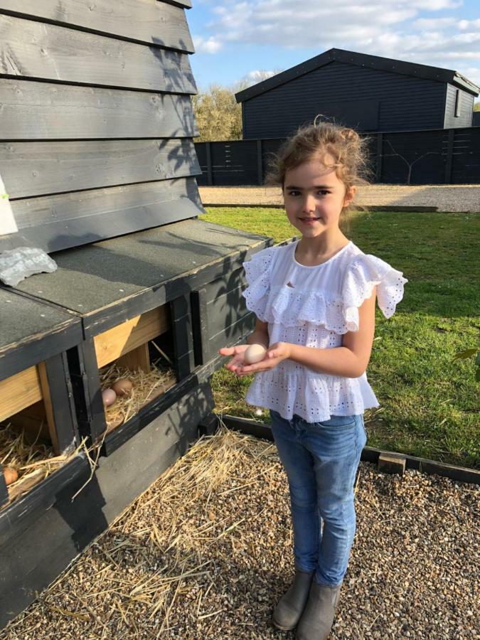 Willow Court Farm The Lodge & Petting Farm, 8 Mins From Legoland & Windsor, 15 Mins From Lapland Uk *