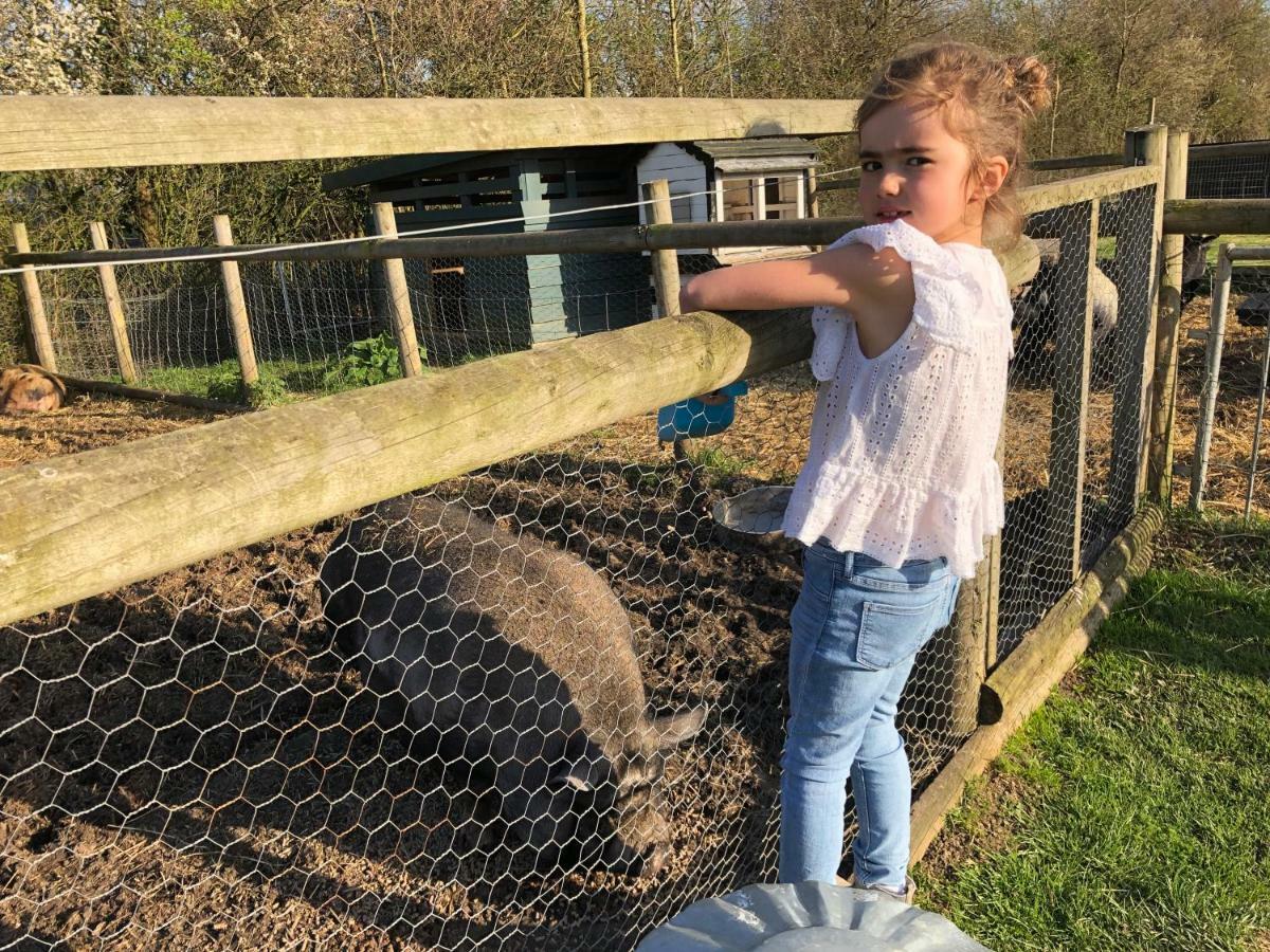 Willow Court Farm The Lodge & Petting Farm, 8 Mins From Legoland & Windsor, 15 Mins From Lapland Uk