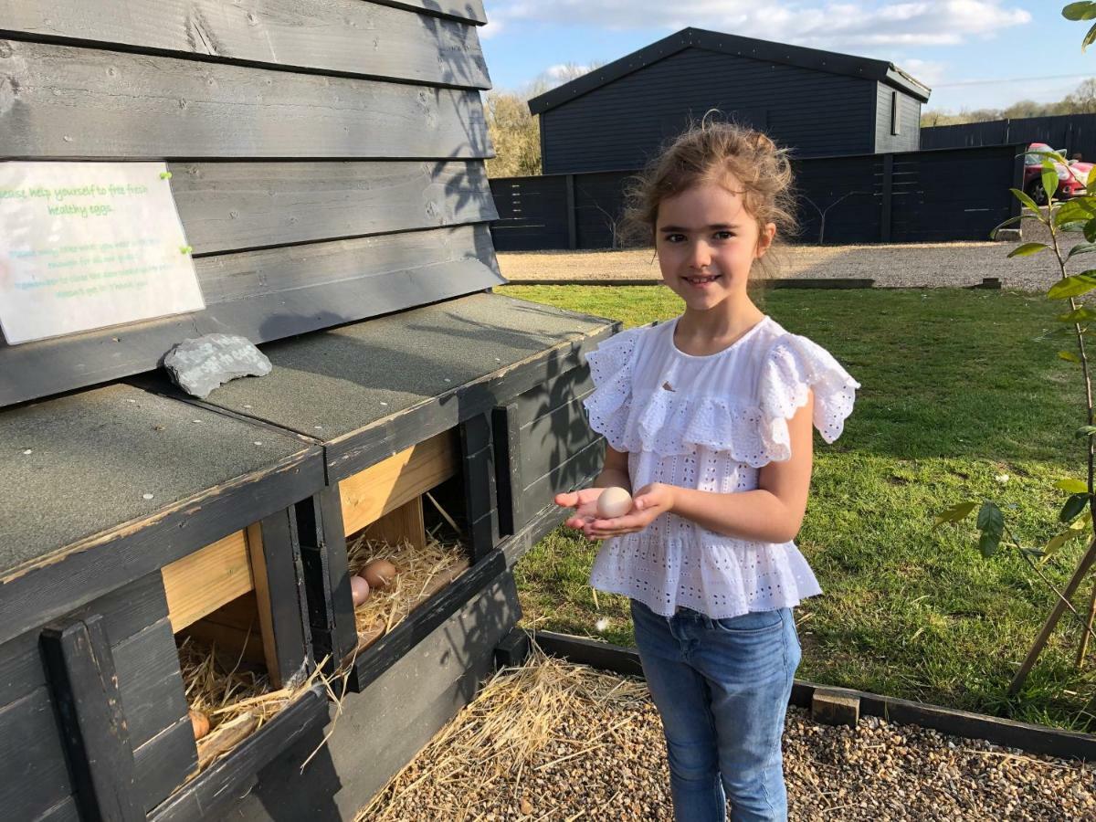 Holiday home Willow Court Farm The Lodge & Petting Farm, 8 Mins From Legoland & Windsor, 15 Mins From Lapland Uk