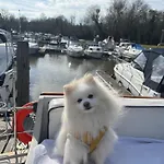 Riverside Boat Retreat On The River Thames