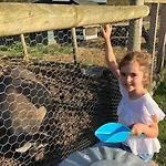 Willow Court Farm Studio South & Petting Farm, 8 Mins From Legoland & Windsor, 15 Mins From Lapland Uk