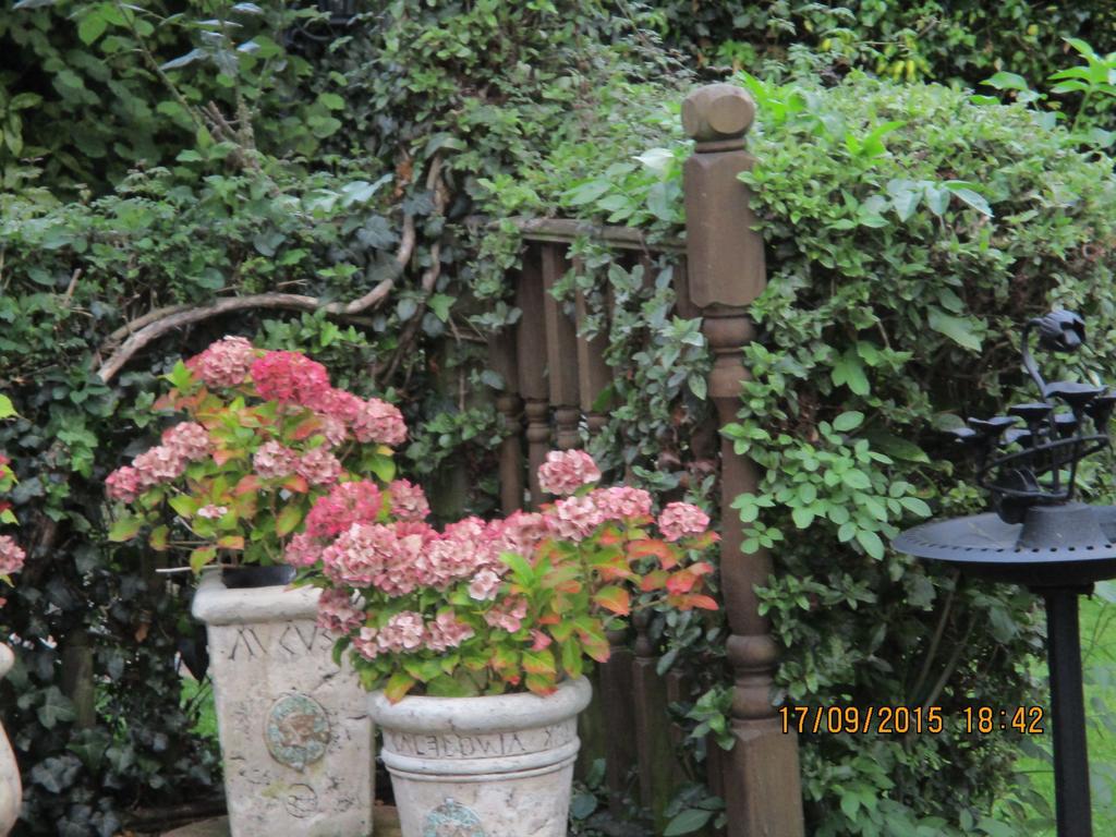 Mcmillans Bed & Breakfast Windsor