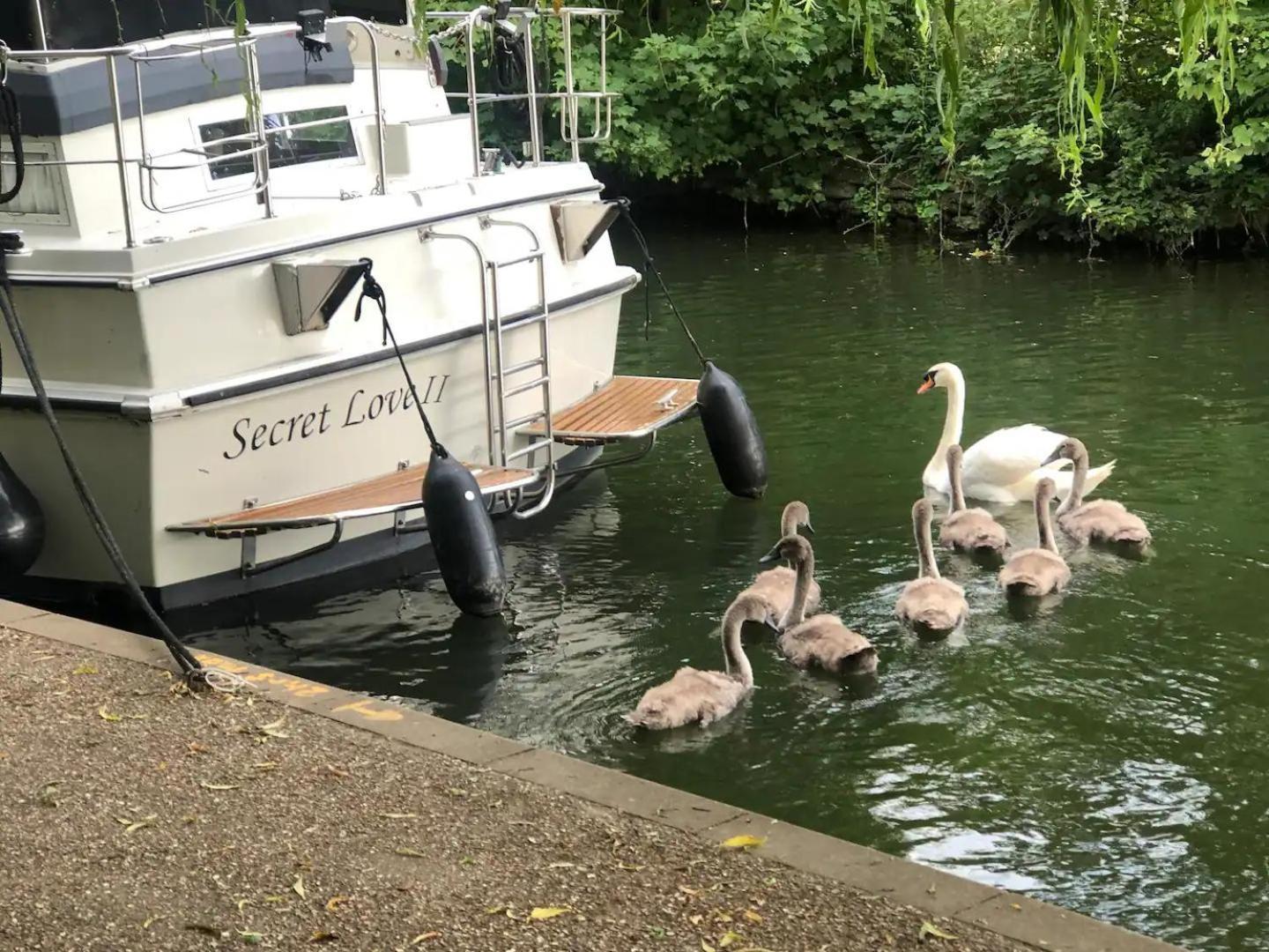 Riverside Boat Retreat On The River Thames *