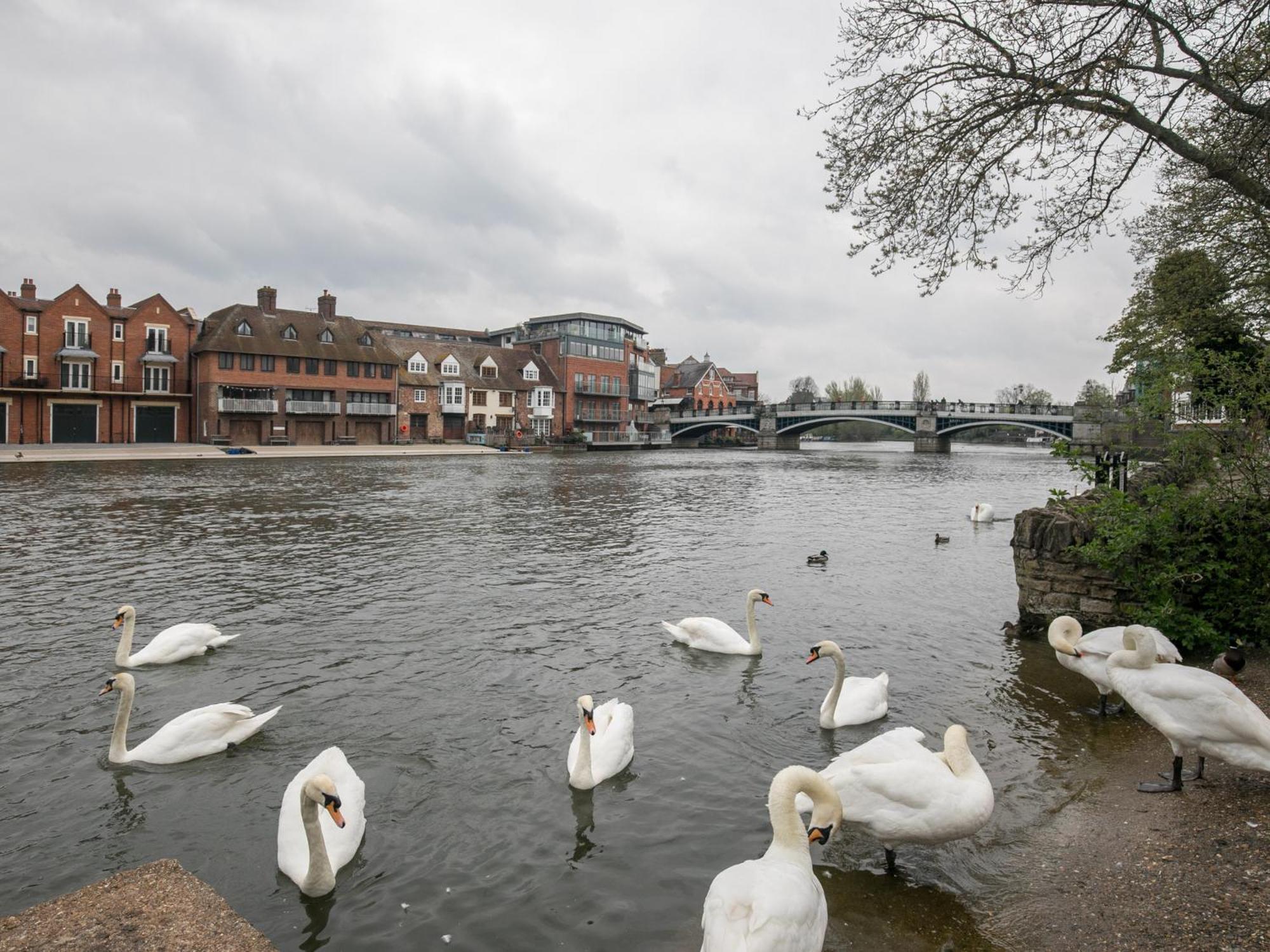 Apartment Pass The Keys Luxury 1 Bed Flat On Riverside Windsor