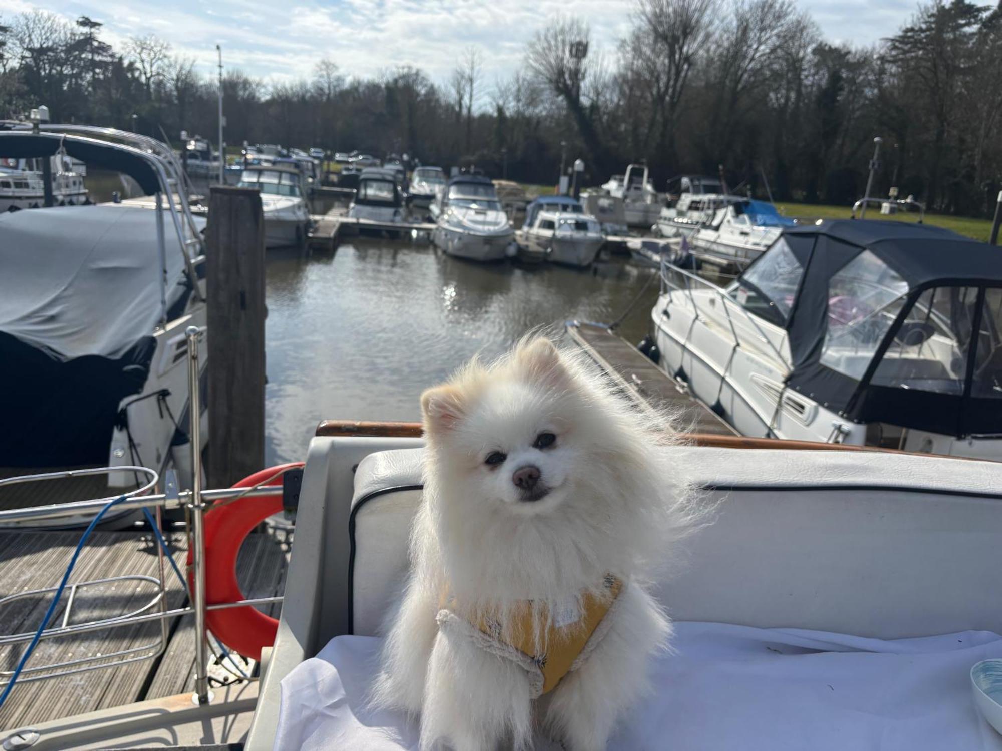 Riverside Boat Retreat On The River Thames Holiday home Windsor
