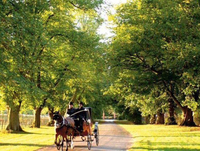 Savill Court Hotel 4*