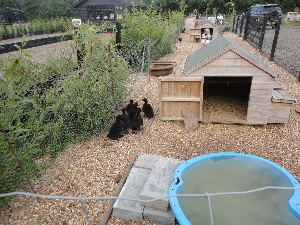 Willow Court Farm Studio East & Petting Farm, 8 Mins To Legoland & Windsor, 15 Mins To Lapland Uk