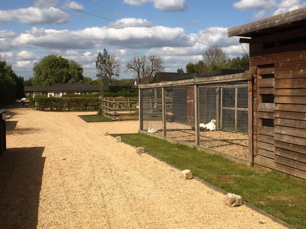 Holiday home Willow Court Farm Studio South & Petting Farm, 8 Mins From Legoland & Windsor, 15 Mins From Lapland Uk Windsor