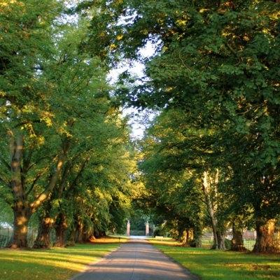 Savill Court Windsor