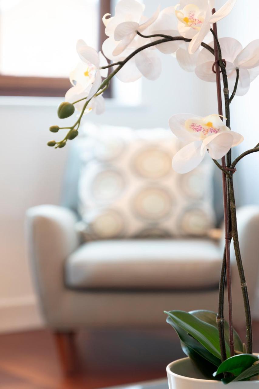Hampden - The Henry Apartamento Windsor