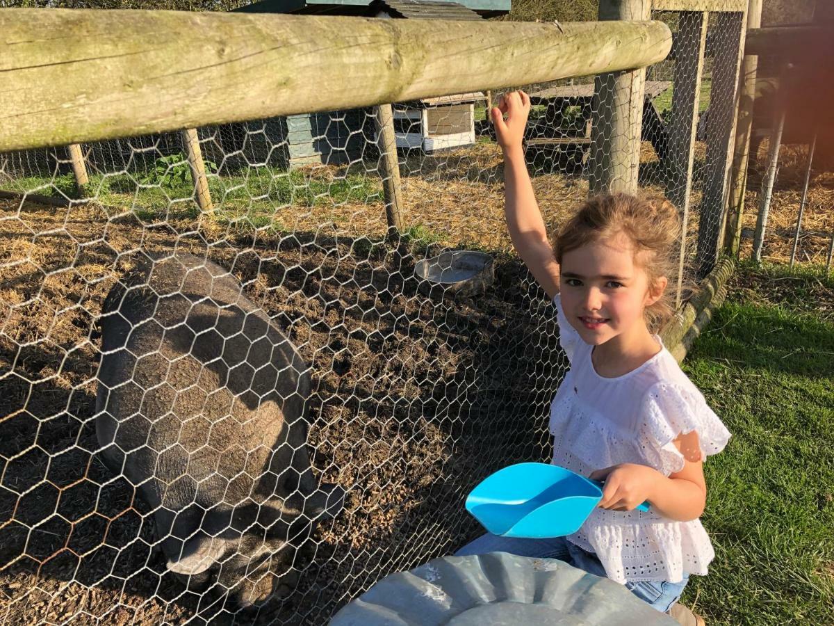 Willow Court Farm Studio South & Petting Farm, 8 Mins From Legoland & Windsor, 15 Mins From Lapland Uk Windsor