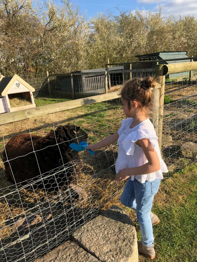 Willow Court Farm Studio South & Petting Farm, 8 Mins From Legoland & Windsor, 15 Mins From Lapland Uk Holiday home *