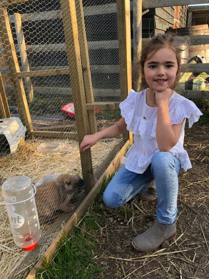 Holiday home Willow Court Farm Studio South & Petting Farm, 8 Mins From Legoland & Windsor, 15 Mins From Lapland Uk