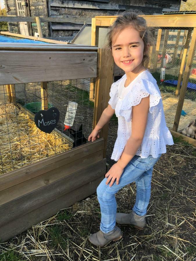 Holiday home Willow Court Farm Studio South & Petting Farm, 8 Mins From Legoland & Windsor, 15 Mins From Lapland Uk